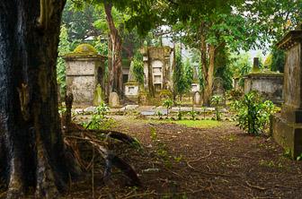 South park street cemetery Kolkata India DT 319384178