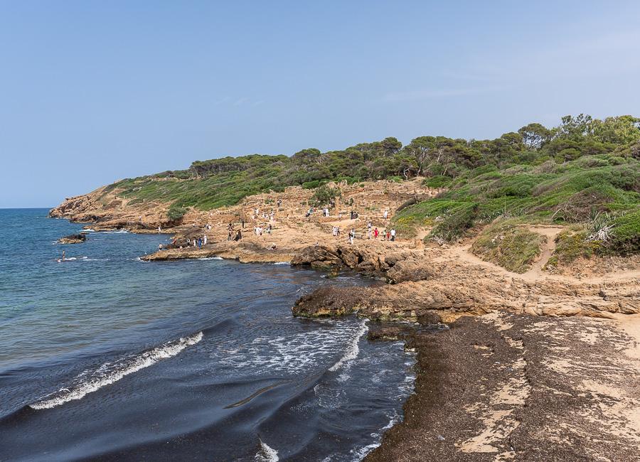 Tipaza (Tipasa) Algeria JUN26 © Mark & Kirsty Bennetts 22