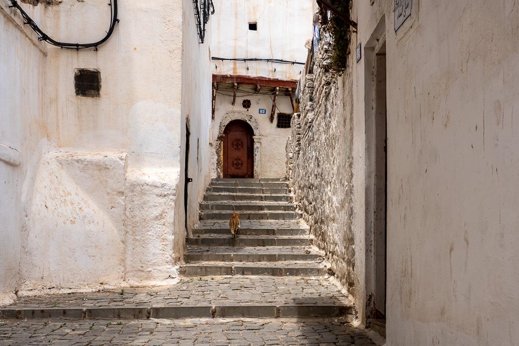 Unmissable Sights and Experiences in Algeria - Casbah of Algiers © Mark & Kirsty Bennetts 38